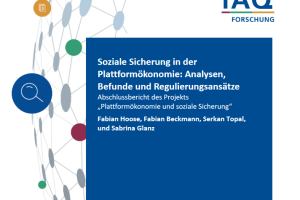 Cover Abschlussbericht PlaSoSi